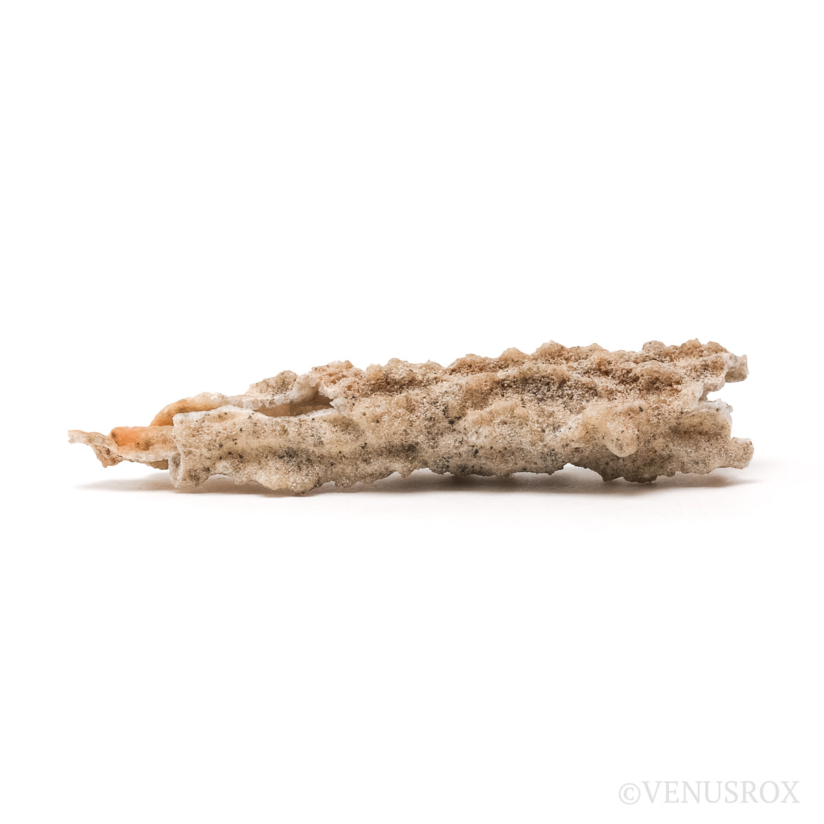Fulgurite from North Africa | Venusrox