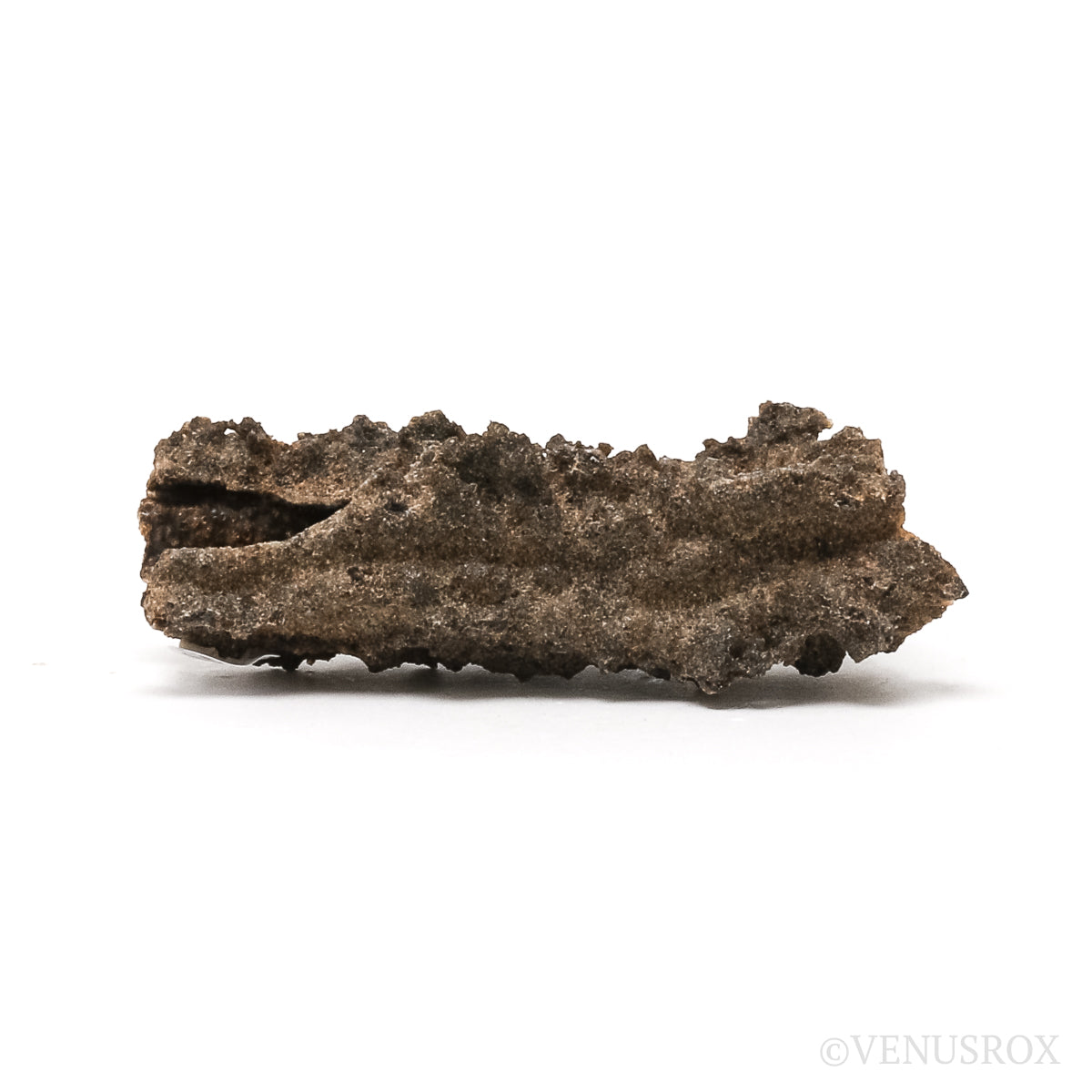 Fulgurite from North Africa | Venusrox