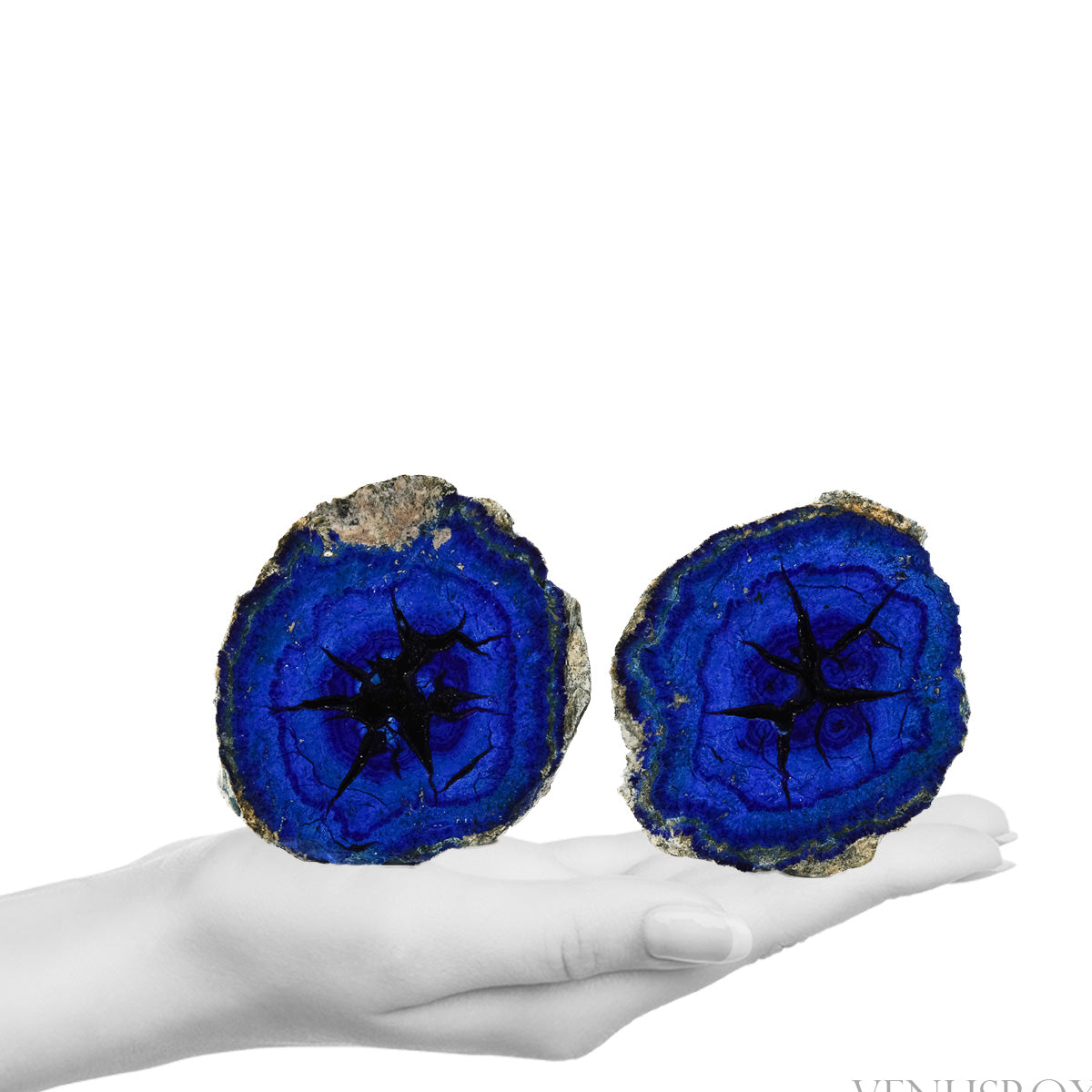 Azurite Part Polished/Part Natural Crystal from the Rubtsovsky Mine, Altaiskiy Krai, Russia | Venusrox