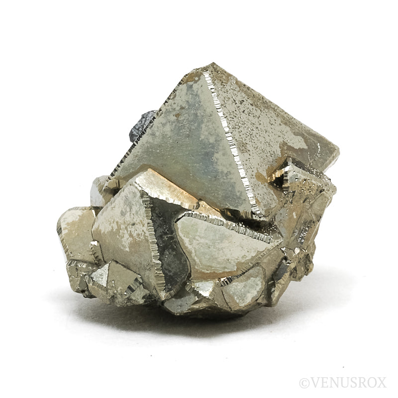 Pyrite Natural Cluster from the Huanzala Mine, Huallanca District, Dos de Mayo Province, Huánuco Department, Peru | Venusrox