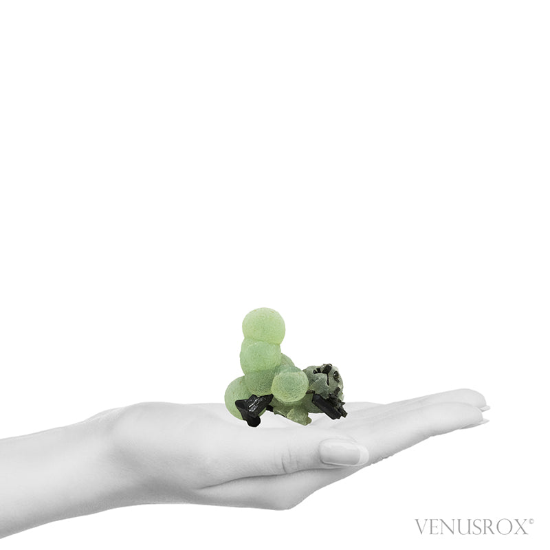 Prehnite with Epidote Natural Specimen from the Kayes Region, Mali, Africa | Venusrox