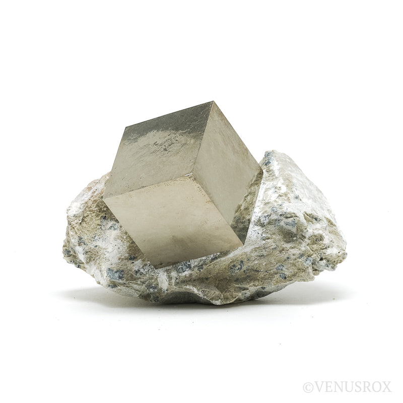 Pyrite Cubes in Matrix from Navajun, La Rioja, Spain | Venusrox