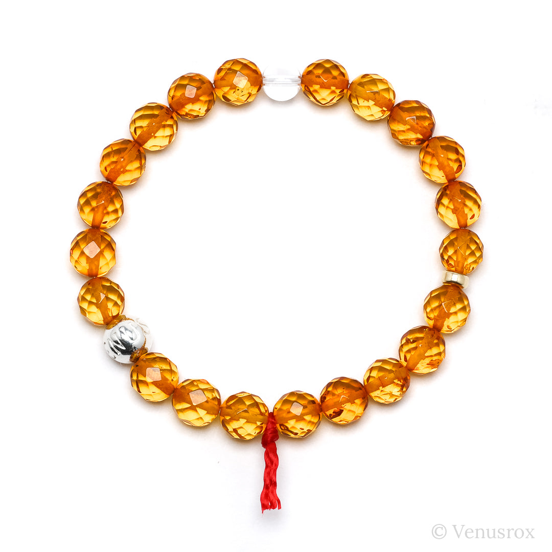 Amber Bracelet from The Baltics | Venusrox
