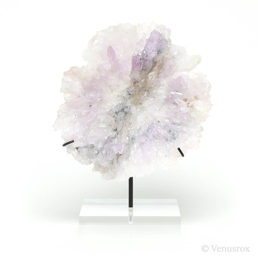 Amethyst Natural 'Flower' from Ametista do Sul, Alto Uruguai region, Rio Grande do Sul, Brazil, mounted on a bespoke stand | Venusrox