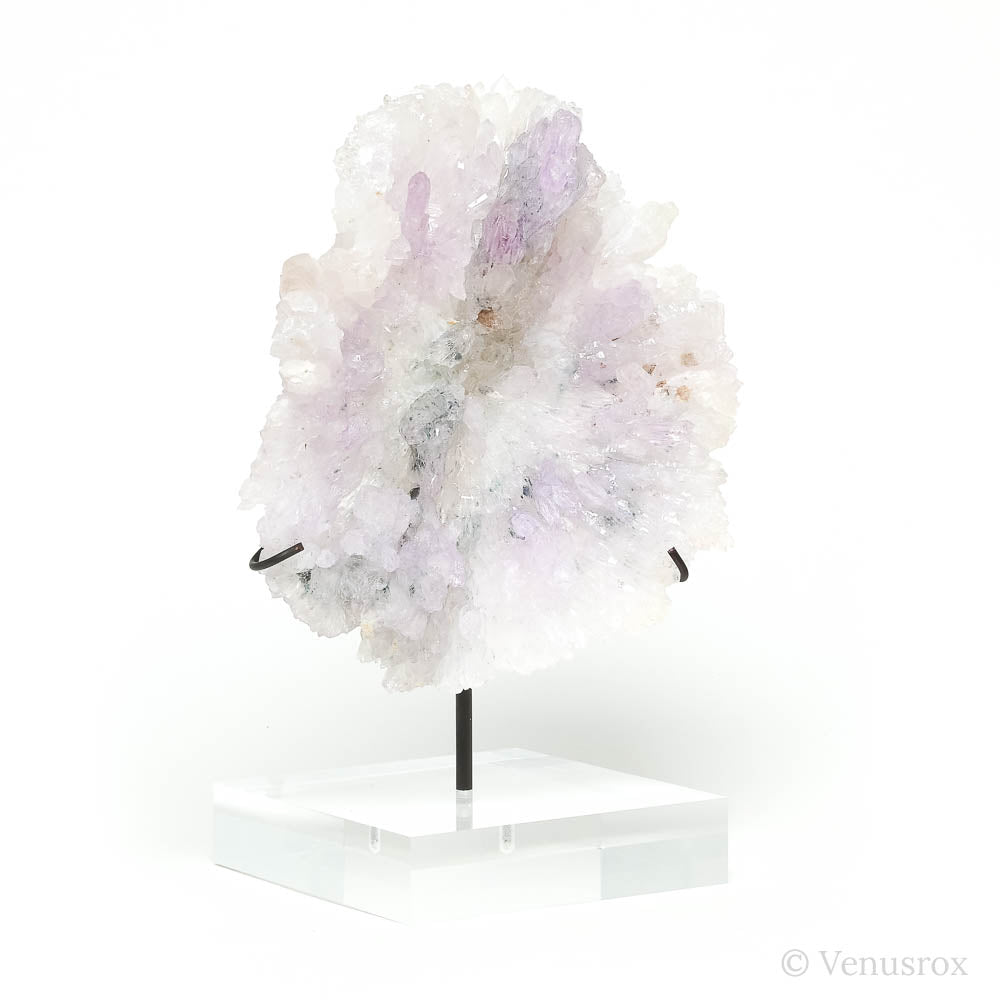 Amethyst Natural 'Flower' from Ametista do Sul, Alto Uruguai region, Rio Grande do Sul, Brazil, mounted on a bespoke stand | Venusrox