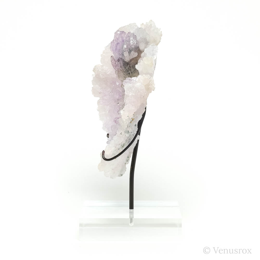 Amethyst Natural 'Flower' from Ametista do Sul, Alto Uruguai region, Rio Grande do Sul, Brazil, mounted on a bespoke stand | Venusrox