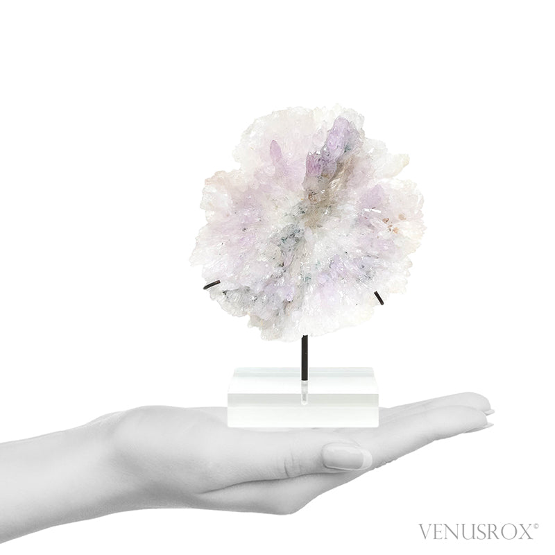 Amethyst Natural 'Flower' from Ametista do Sul, Alto Uruguai region, Rio Grande do Sul, Brazil, mounted on a bespoke stand | Venusrox