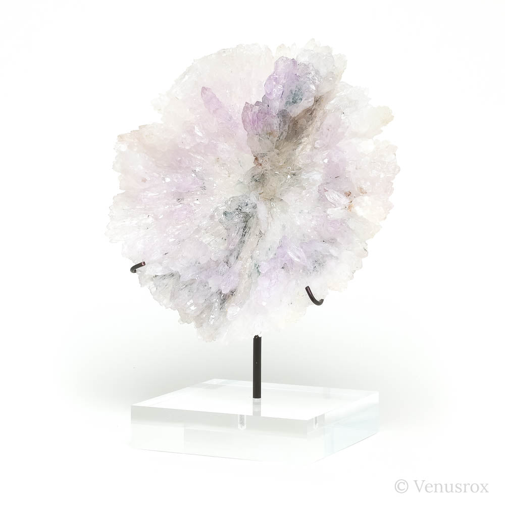 Amethyst Natural 'Flower' from Ametista do Sul, Alto Uruguai region, Rio Grande do Sul, Brazil, mounted on a bespoke stand | Venusrox