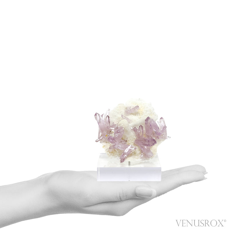 Amethyst (Vera Cruz) Natural Cluster from the Piedra Parada, near Las Vigas, Tatatila, Veracruz, Mexico | Venusrox