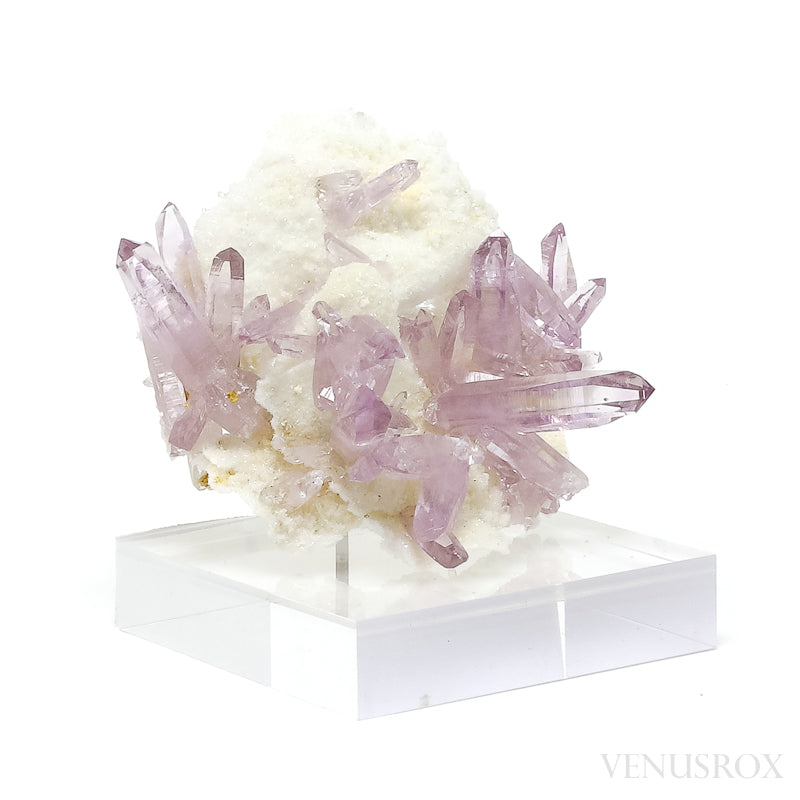 Amethyst (Vera Cruz) Natural Cluster from the Piedra Parada, near Las Vigas, Tatatila, Veracruz, Mexico | Venusrox