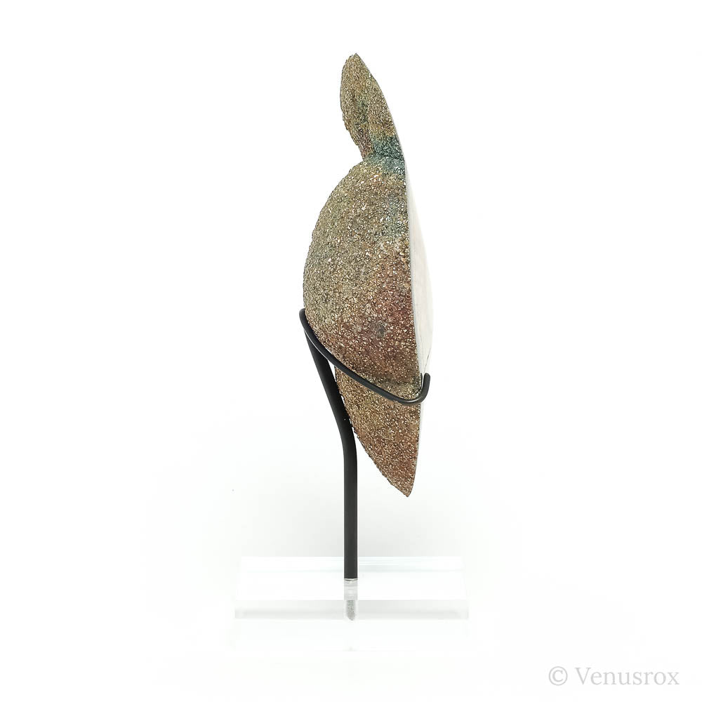 Barite & Marcasite Polished/Natural Crystal from the Lubin Mine, Silezia, Poland mounted on a bespoke stand | Venusrox
