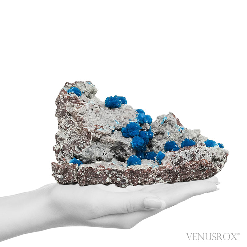 Cavansite on Matrix Natural Cluster from India | Venusrox