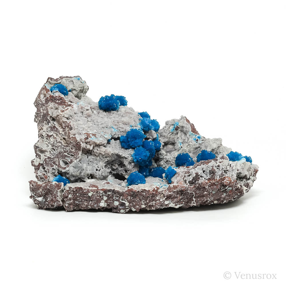 Cavansite on Matrix Natural Cluster from India | Venusrox