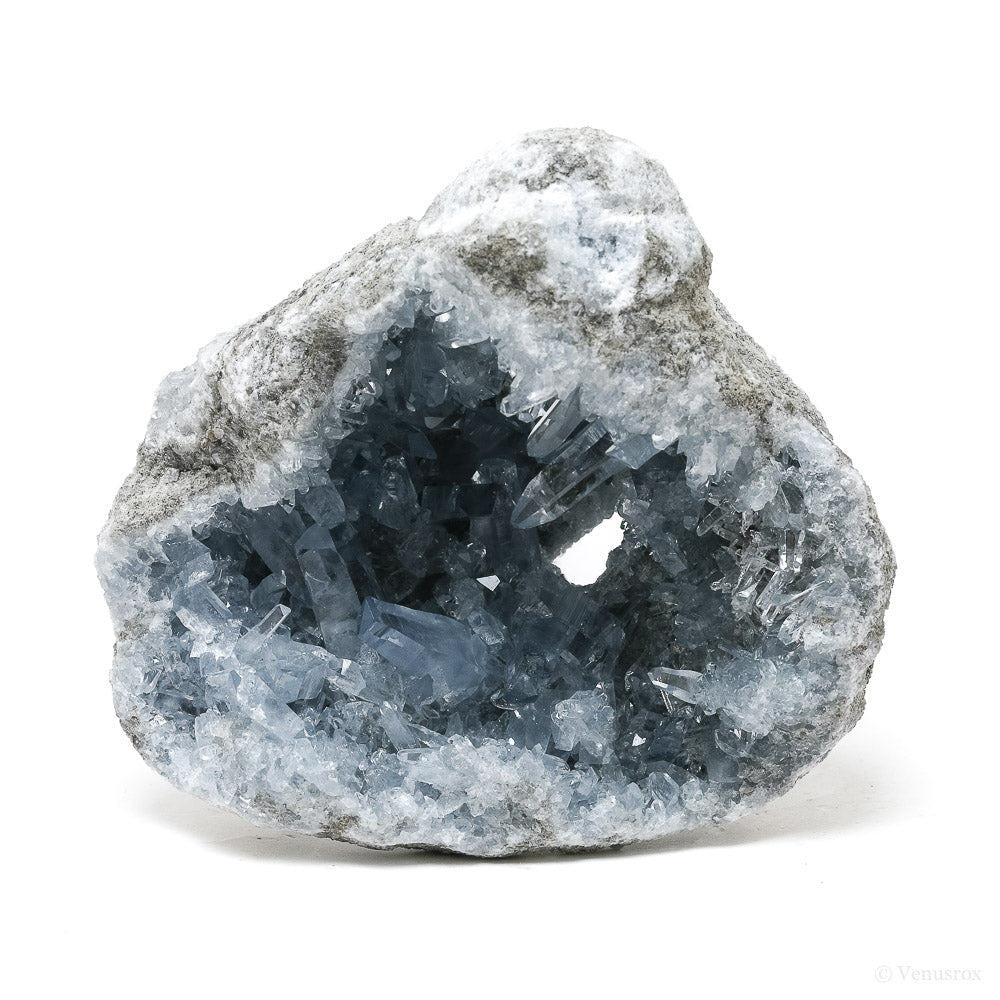 Blue Celestite on Matrix Natural Cluster from Madagascar | Venusrox