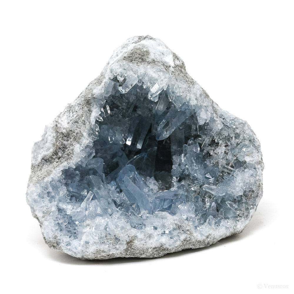 Blue Celestite on Matrix Natural Cluster from Madagascar | Venusrox