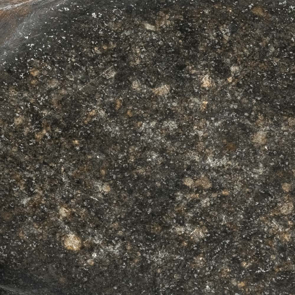 NWA Chondrite Meteorite Polished/Natural Fragment from Sahara Desert, North-West Africa | Venusrox