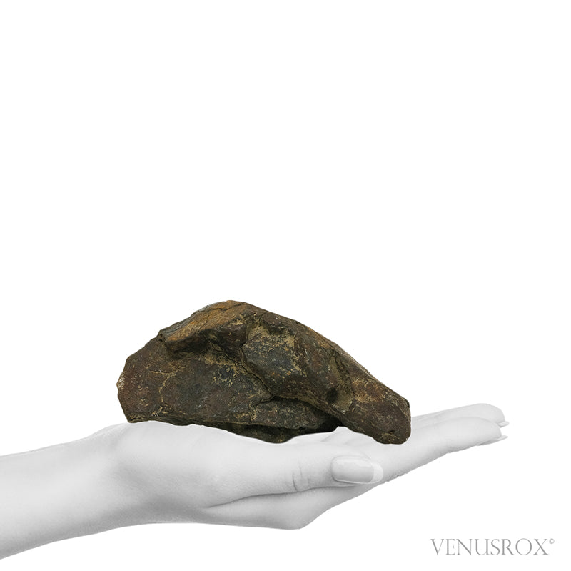 NWA Chondrite Meteorite Polished/Natural Fragment from Sahara Desert, North-West Africa | Venusrox