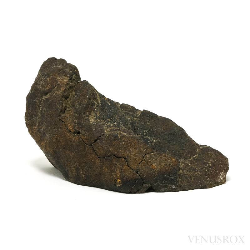 NWA Chondrite Meteorite Polished/Natural Fragment from Sahara Desert, North-West Africa | Venusrox