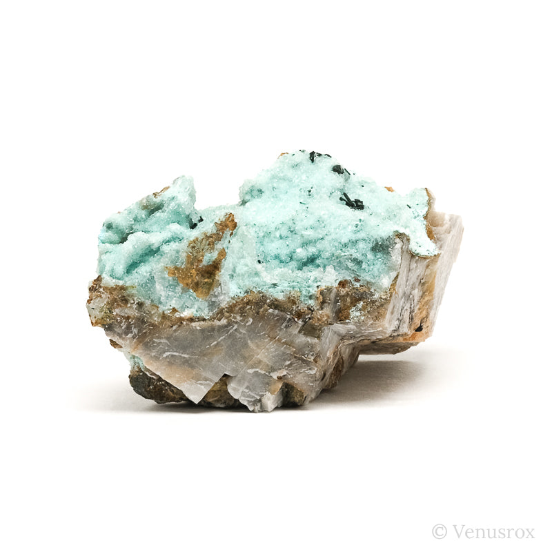Chrysocolla with Atacamite on Feldspar Natural Crystal from Peru | Venusrox