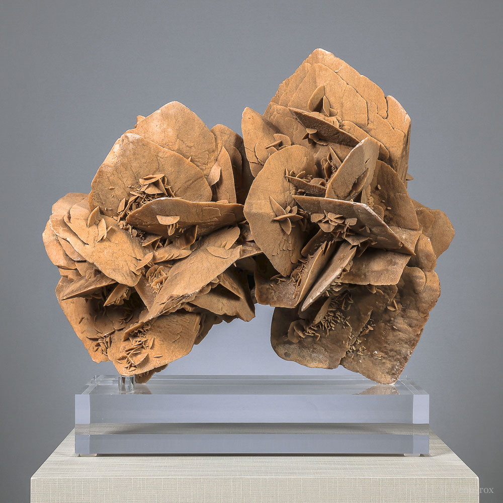 Desert Rose Natural Cluster | Venusrox