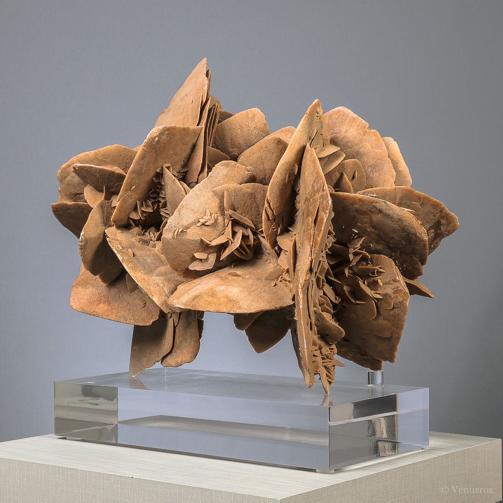 Desert Rose Natural Cluster | Venusrox