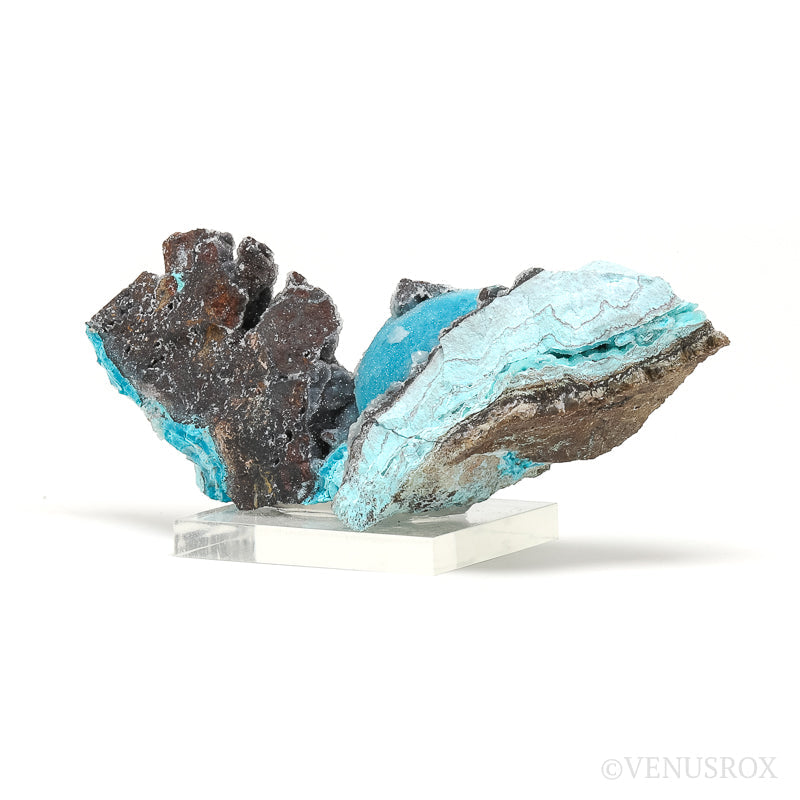 Gem Silica & Chrysocolla with Malachite & Clear Quartz on Matrix Natural Crystal from the Lily Mine, Pisco Umay, Ica, Peru | Venusrox