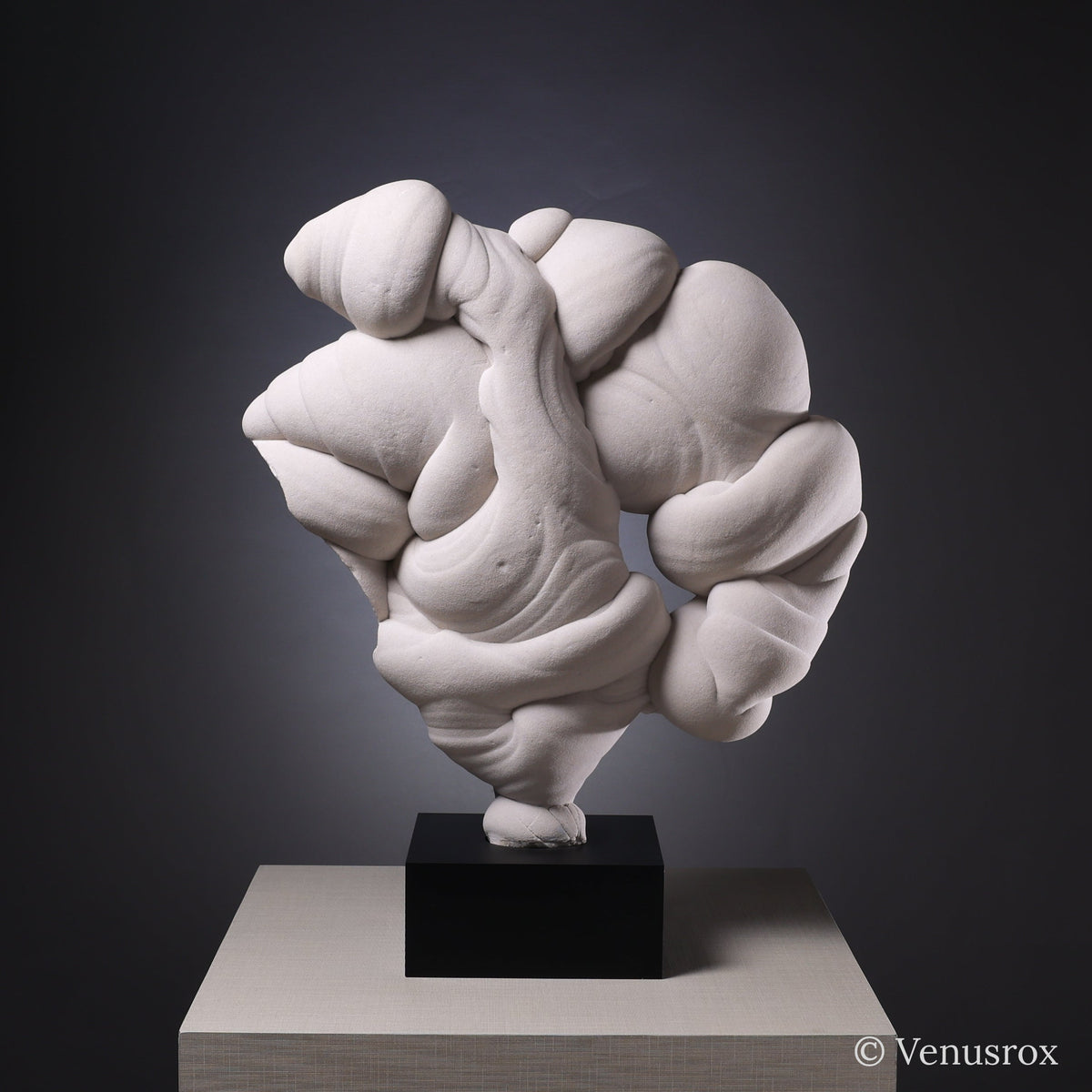Gogotte Natural Crystal from Fontainebleau, France mounted on bespoke stand | Venusrox
