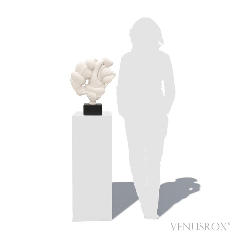 Gogotte Natural Crystal from Fontainebleau, France mounted on bespoke stand | Venusrox
