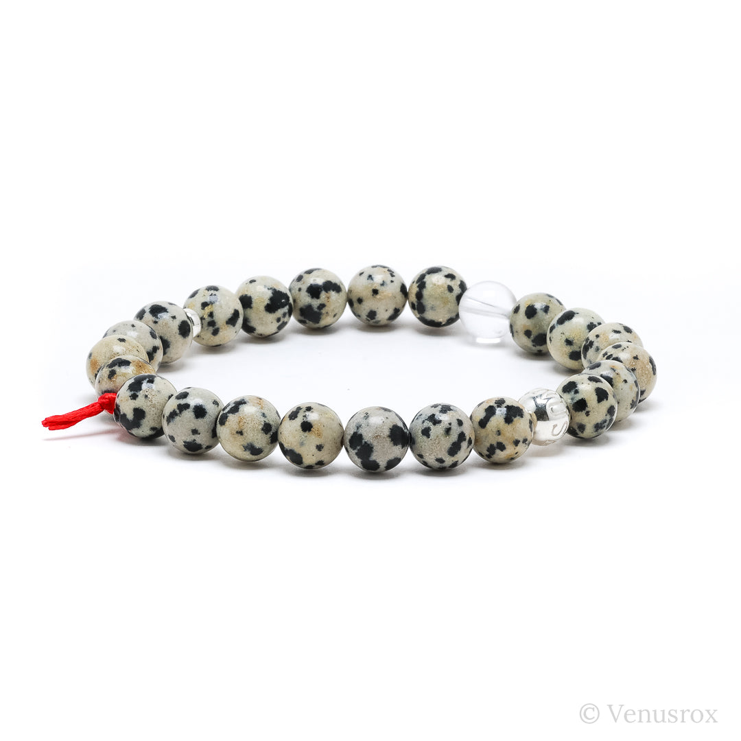 Dalmatian Jasper Bracelet from China | Venusrox