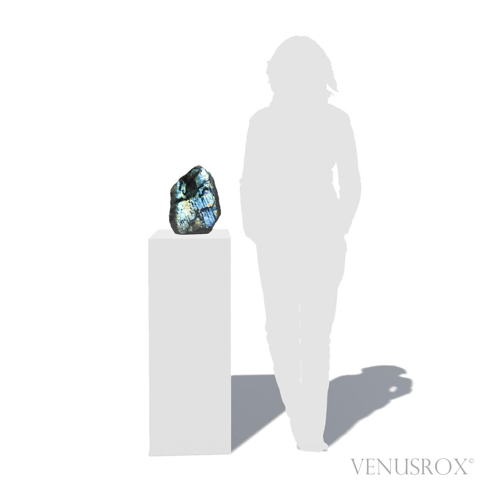 Labradorite Part Polished/Part Natural Freeform from Madagascar | Venusrox