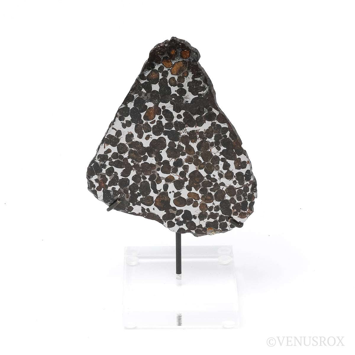 Seymchan Pallasite Meteorite Polished Slice from the Hekandue River, Jasačnaja, Magadan District, Russia | Venusrox