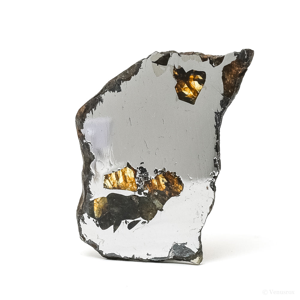 METEORITE (SEYMCHAN PALLASITE) POLISHED SLICE - METEORITES