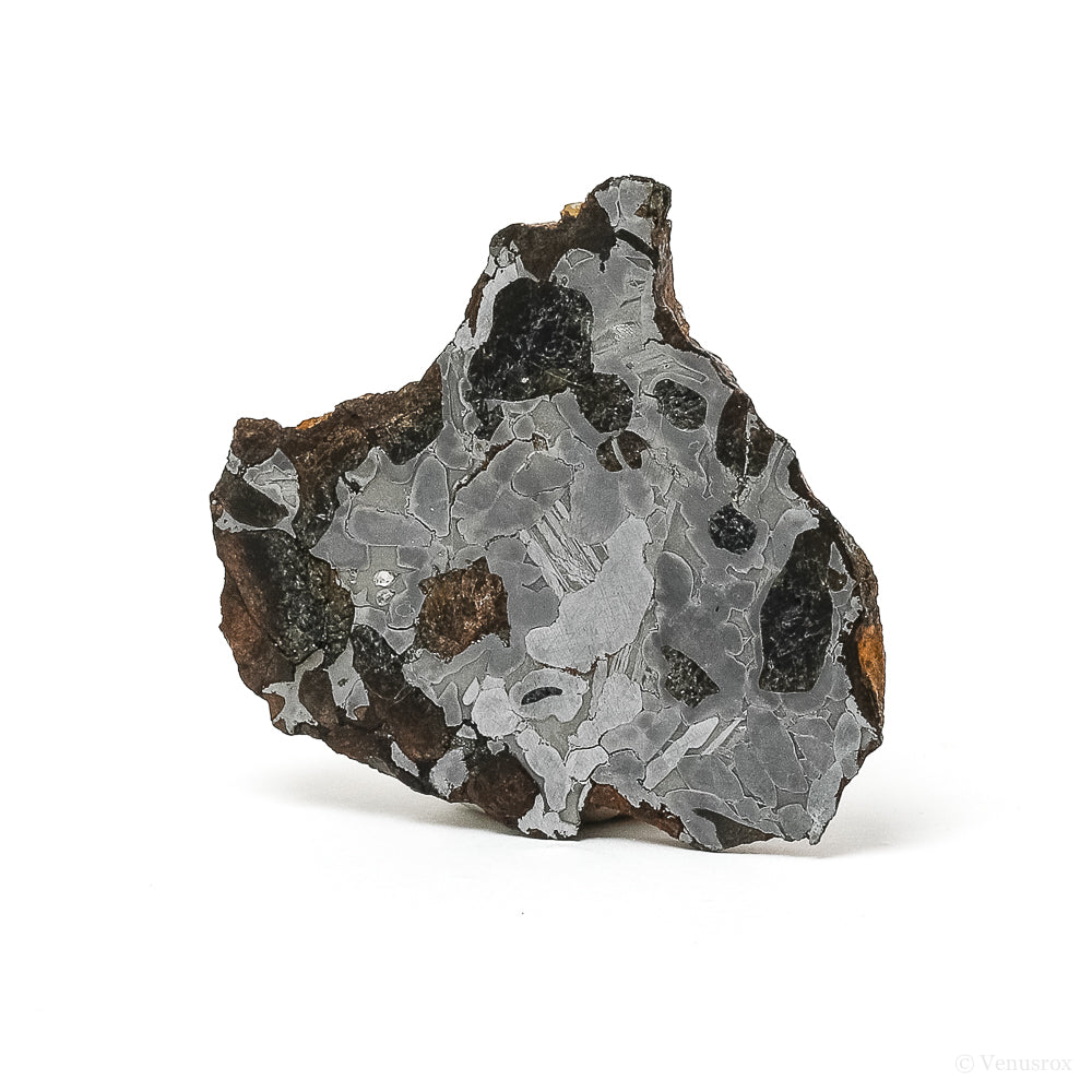 METEORITE (SEYMCHAN PALLASITE) POLISHED SLICE - METEORITES