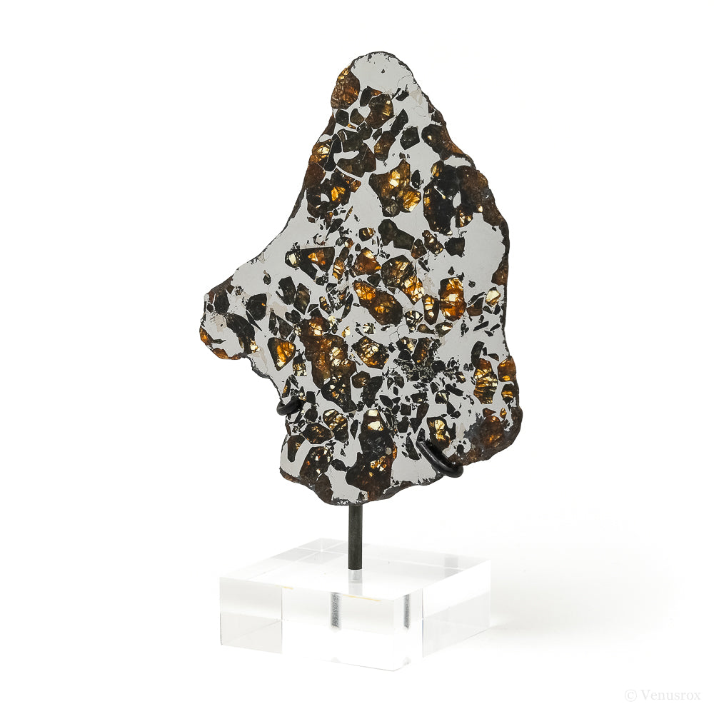 Seymchan Pallasite Meteorite Polished Slice from the Hekandue River, Jasačnaja, Magadan District, Russia mounted on a bespoke stand | Venusrox