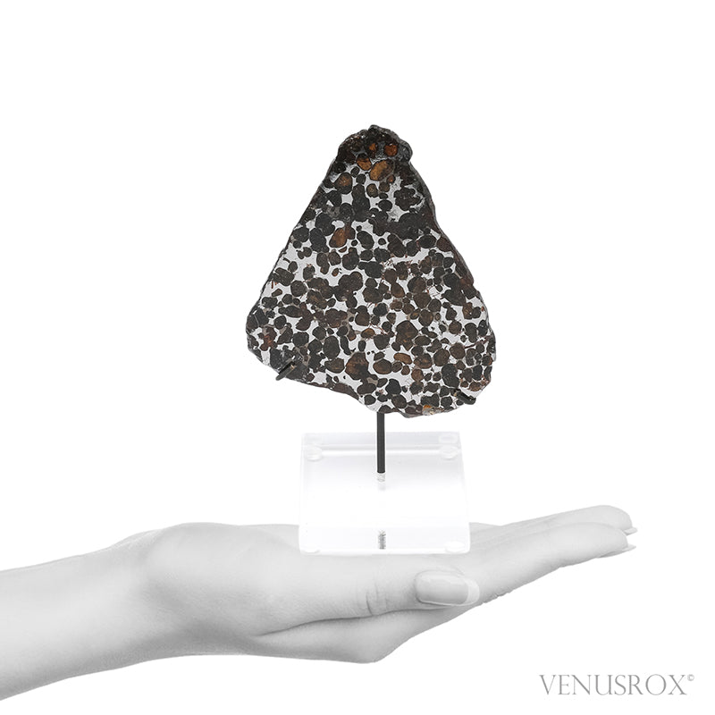 Seymchan Pallasite Meteorite Polished Slice from the Hekandue River, Jasačnaja, Magadan District, Russia | Venusrox