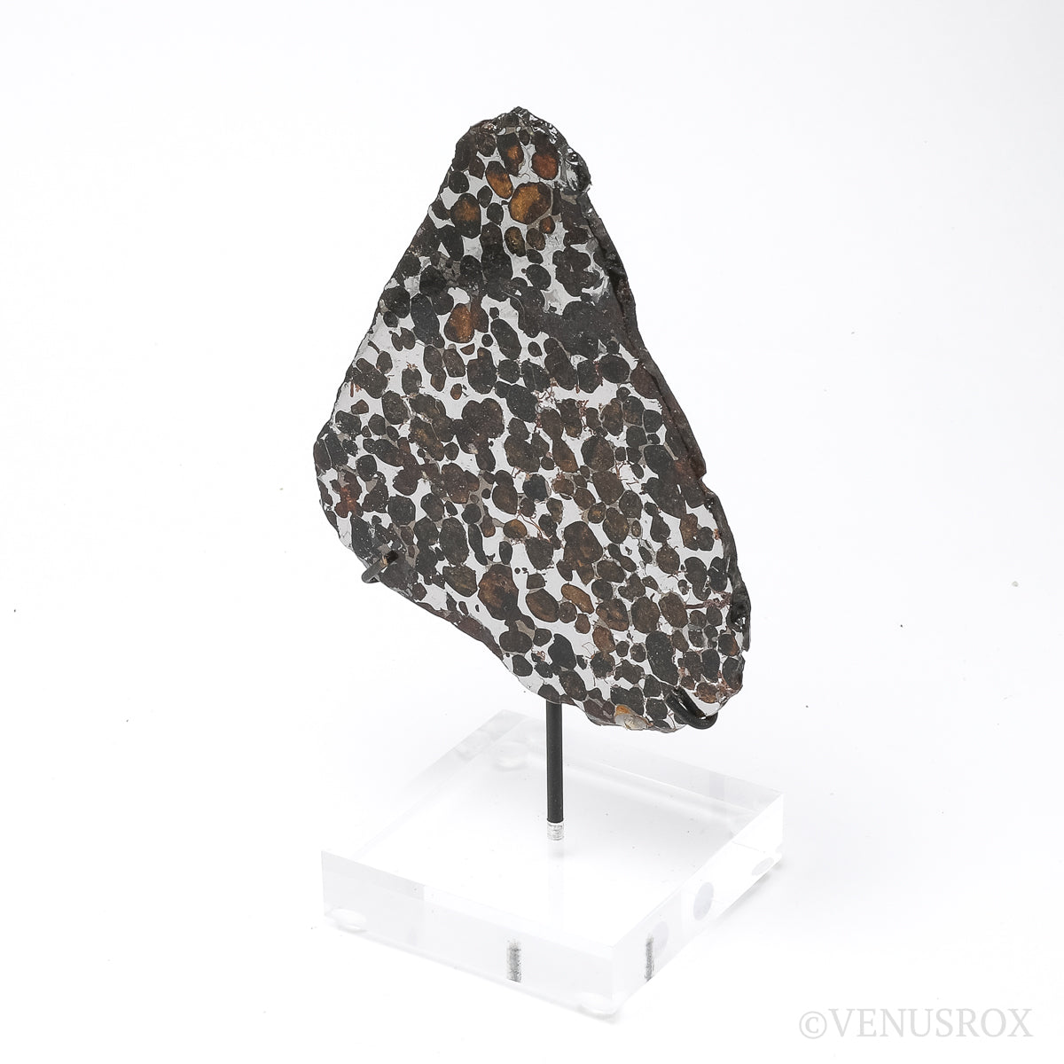 Seymchan Pallasite Meteorite Polished Slice from the Hekandue River, Jasačnaja, Magadan District, Russia | Venusrox