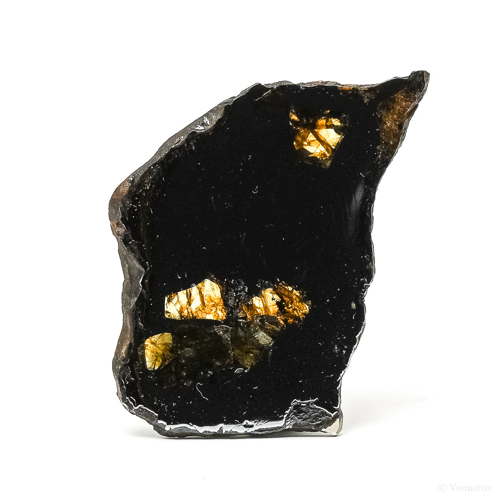METEORITE (SEYMCHAN PALLASITE) POLISHED SLICE - METEORITES