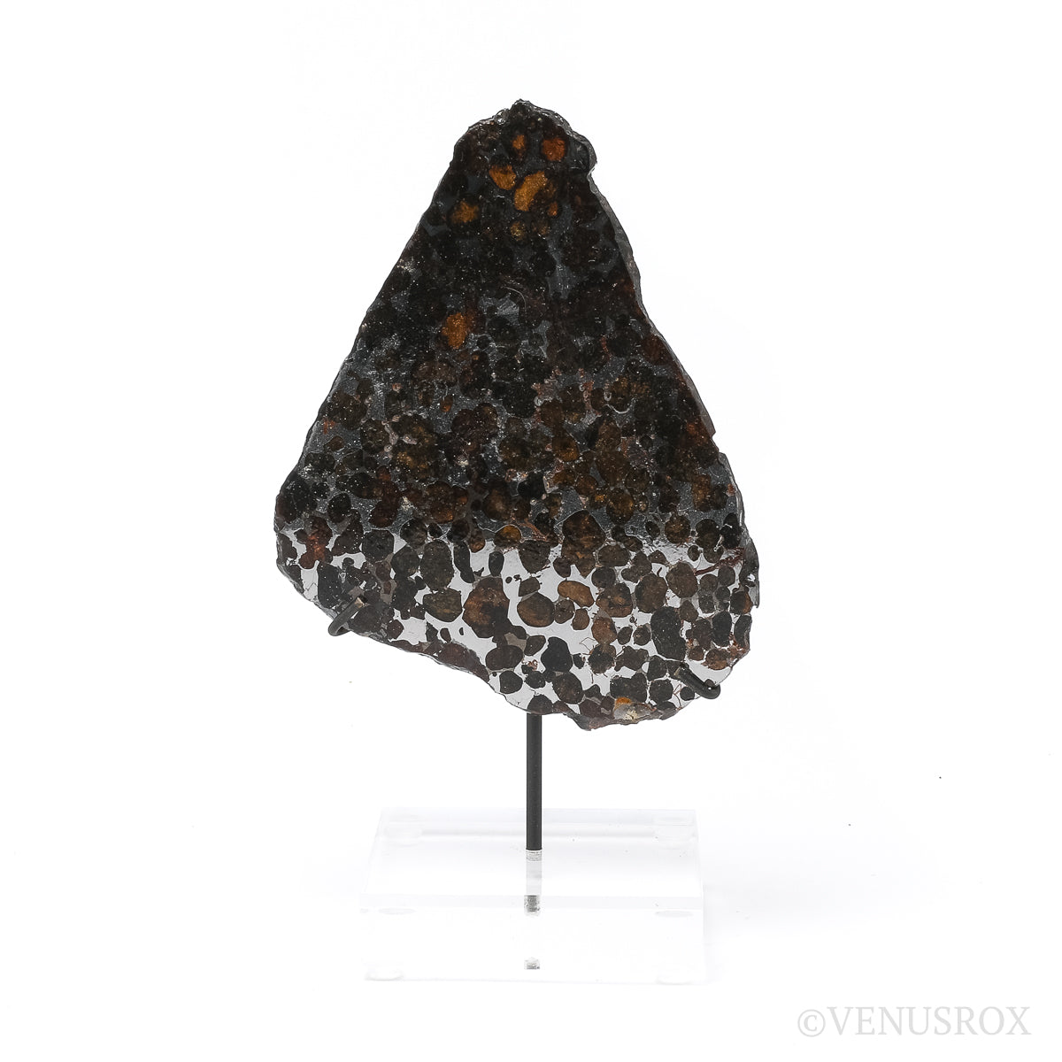 Seymchan Pallasite Meteorite Polished Slice from the Hekandue River, Jasačnaja, Magadan District, Russia | Venusrox
