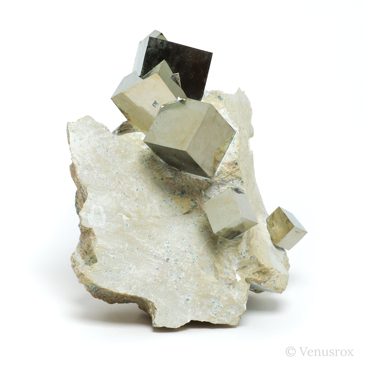 Pyrite Cubes in Matrix from Navajun, La Rioja, Spain mounted on a stand | Venusrox