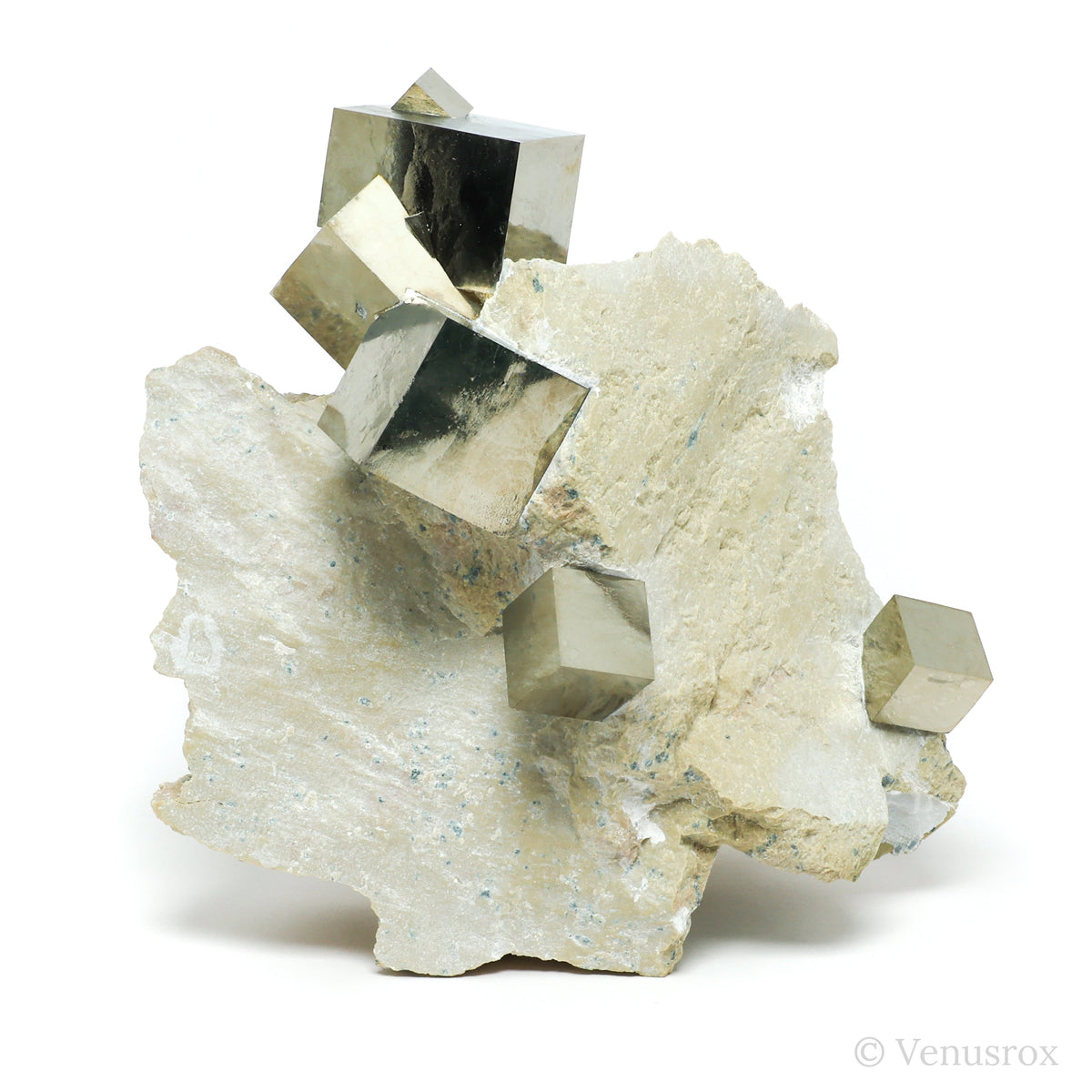 Pyrite Cubes in Matrix from Navajun, La Rioja, Spain mounted on a stand | Venusrox