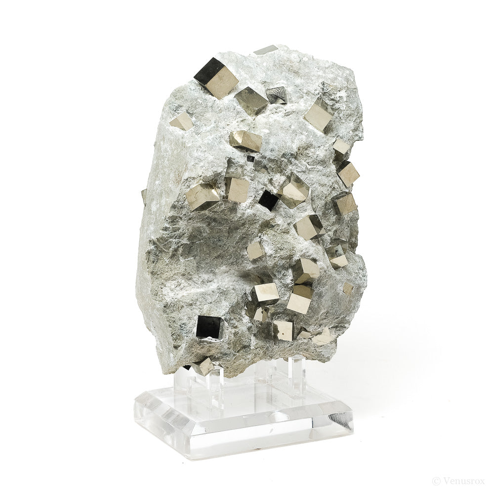 Pyrite Cubes in Matrix from Navajun, La Rioja, Spain mounted on a stand | Venusrox