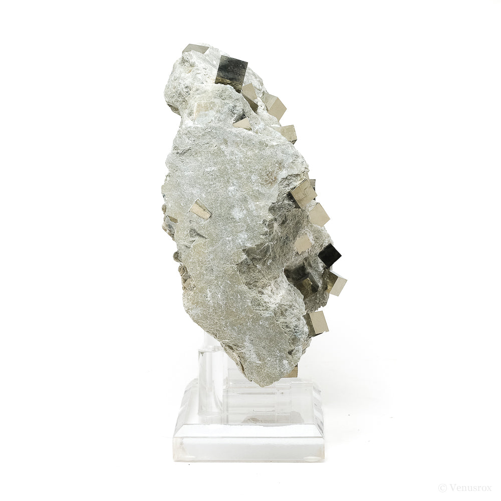 Pyrite Cubes in Matrix from Navajun, La Rioja, Spain mounted on a stand | Venusrox