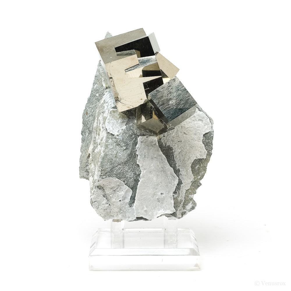 Pyrite Cubes in Matrix from Navajun, La Rioja, Spain mounted on a stand | Venusrox