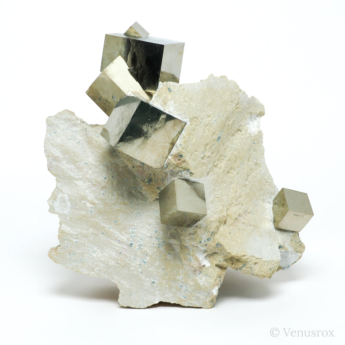 Pyrite Cubes in Matrix from Navajun, La Rioja, Spain mounted on a stand | Venusrox