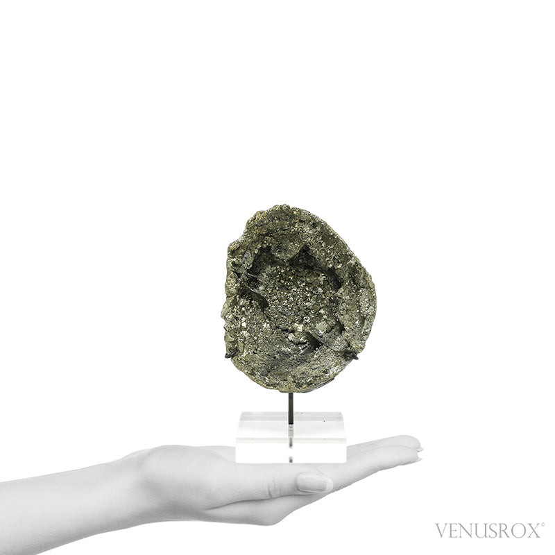 Pyrite Half Nodule from Le Mans, Sarthe, France mounted on a bespoke stand | Venusrox