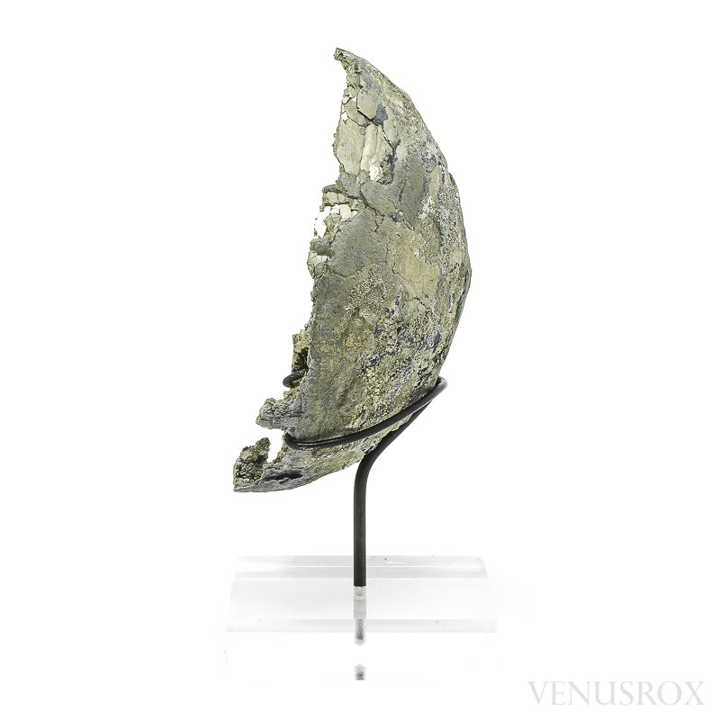 Pyrite Half Nodule from Le Mans, Sarthe, France mounted on a bespoke stand | Venusrox