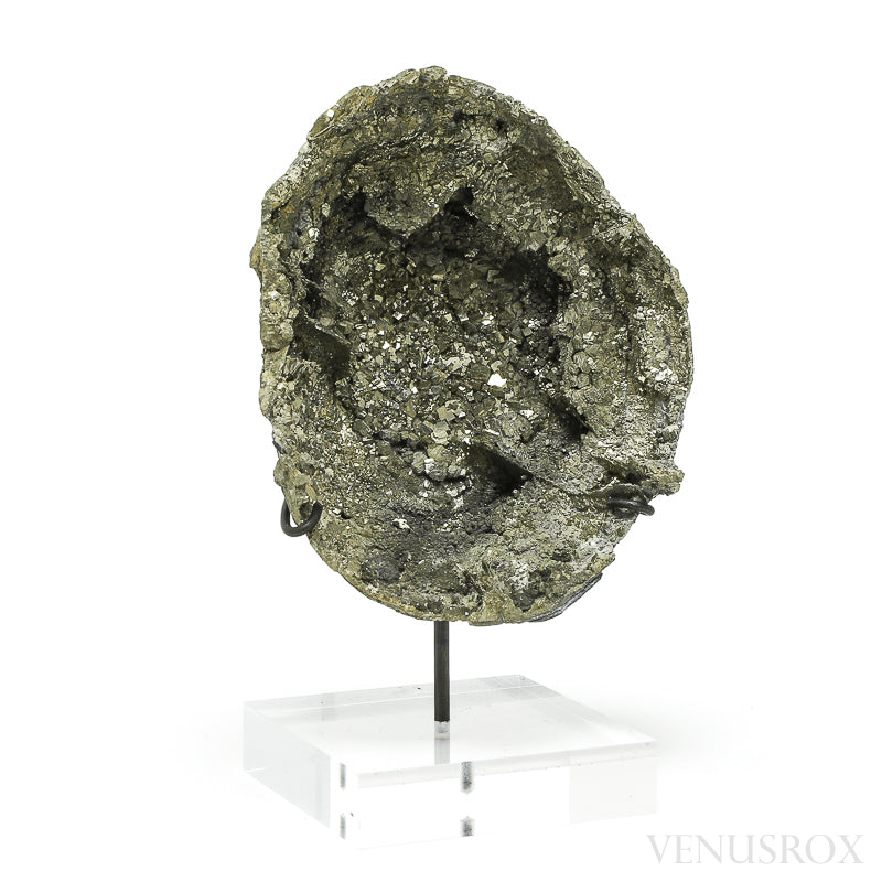 Pyrite Half Nodule from Le Mans, Sarthe, France mounted on a bespoke stand | Venusrox