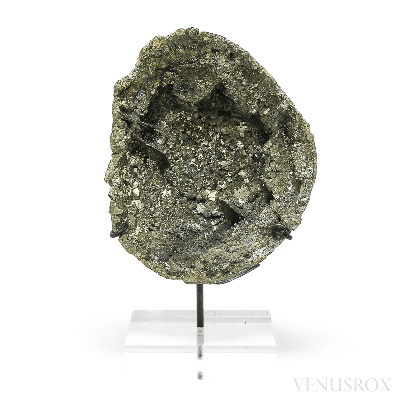 Pyrite Half Nodule from Le Mans, Sarthe, France mounted on a bespoke stand | Venusrox