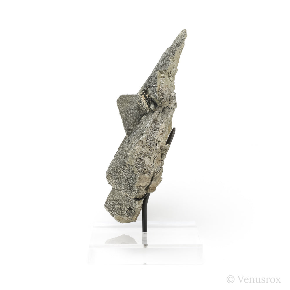 Pyrite Natural Cluster from the Huanzala Mine, Huallanca District, Huanuco Department, Perumounted on a bespoke stand | Venusrox