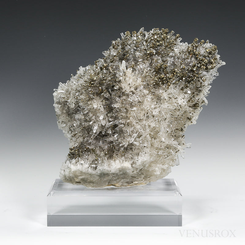 Clear Quartz with Pyrite Natural Cluster from the Trepča Mine, Kosovo mounted on a bespoke stand | Venusrox